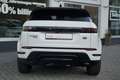 Land Rover Range Rover Evoque D240 R-Dynamic Panorama 360° Weiß - thumbnail 6