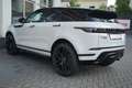 Land Rover Range Rover Evoque D240 R-Dynamic Panorama 360° Weiß - thumbnail 5