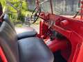 Fiat Campagnola Fiat Campagnola Diesel Rosso - thumbnail 8