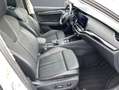 Skoda Octavia Combi 2.0 TDI DSG Style Leder Pano Blanc - thumbnail 13