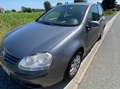 Volkswagen Golf 1.9 TDi On Tour Grijs - thumbnail 15