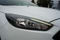 Ford Focus 1.0 ST-Line*Navigation*Automatik*PDC*SHZ* Weiß - thumbnail 35