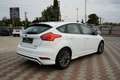 Ford Focus 1.0 ST-Line*Navigation*Automatik*PDC*SHZ* Weiß - thumbnail 7