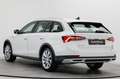 Skoda Octavia Scout 2.0 TDI 4x4 DSG AHK Stdhz HUD Navi Blanc - thumbnail 12