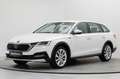 Skoda Octavia Scout 2.0 TDI 4x4 DSG AHK Stdhz HUD Navi Blanc - thumbnail 2