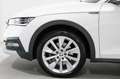 Skoda Octavia Scout 2.0 TDI 4x4 DSG AHK Stdhz HUD Navi Blanc - thumbnail 15