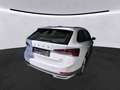 Skoda Octavia Scout 2.0 TDI 4x4 DSG AHK Stdhz HUD Navi Weiß - thumbnail 4