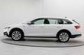 Skoda Octavia Scout 2.0 TDI 4x4 DSG AHK Stdhz HUD Navi Blanc - thumbnail 14