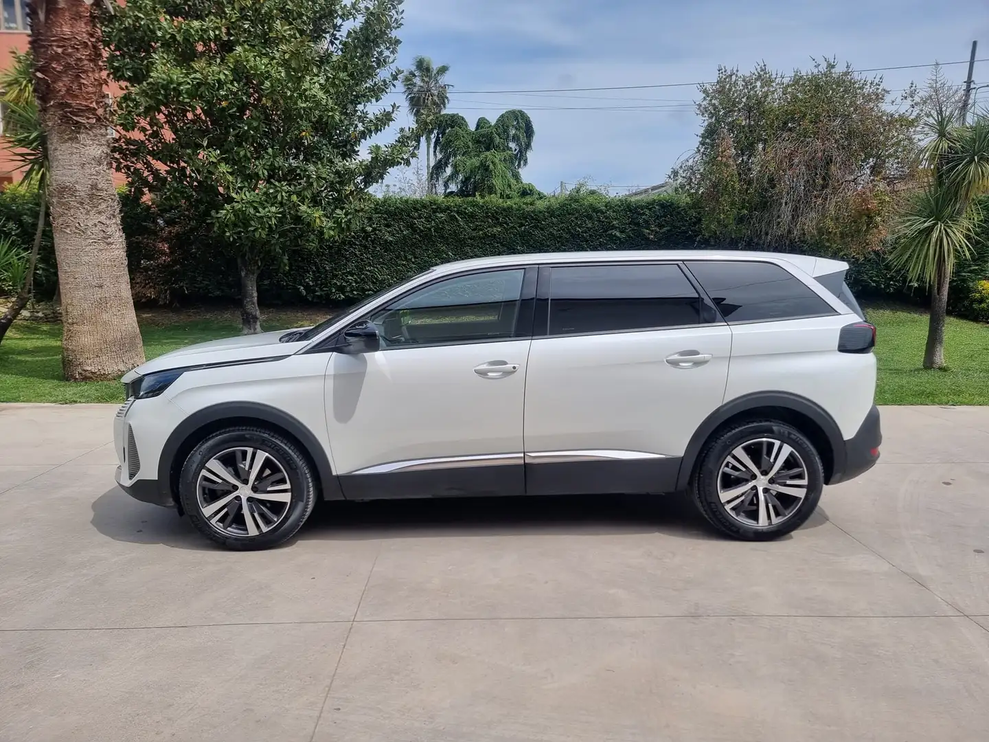 Peugeot 5008 Bianco - 2