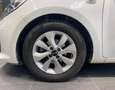 Kia Rio Rio 1.2 CVVT 5p. Active - NEOPATENTATI Weiß - thumbnail 14