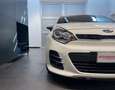 Kia Rio Rio 1.2 CVVT 5p. Active - NEOPATENTATI Weiß - thumbnail 15