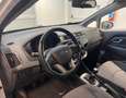 Kia Rio Rio 1.2 CVVT 5p. Active - NEOPATENTATI Weiß - thumbnail 11