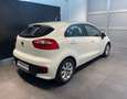 Kia Rio Rio 1.2 CVVT 5p. Active - NEOPATENTATI Weiß - thumbnail 17