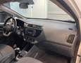 Kia Rio Rio 1.2 CVVT 5p. Active - NEOPATENTATI Weiß - thumbnail 4