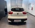 Kia Rio Rio 1.2 CVVT 5p. Active - NEOPATENTATI Weiß - thumbnail 2