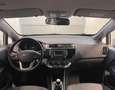 Kia Rio Rio 1.2 CVVT 5p. Active - NEOPATENTATI Bianco - thumbnail 7