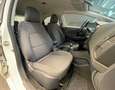 Kia Rio Rio 1.2 CVVT 5p. Active - NEOPATENTATI Weiß - thumbnail 5