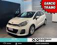 Kia Rio Rio 1.2 CVVT 5p. Active - NEOPATENTATI Weiß - thumbnail 1