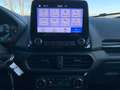 Ford EcoSport 1.0 BENZINA 125cv ST-Line "TAGLIANDI CERTIFICATI" Blu/Azzurro - thumbnail 11