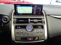 Lexus NX 300 300h Executive Navigation 4WD Béžová - thumbnail 22