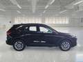 Ford Kuga 2.5 Plug In Hybrid 225 CV CVT 2WD Titanium Busines Nero - thumbnail 5