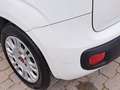 Fiat New Panda 1200 69CV Easy EasyPower GPL ***LEGGERE NOTE*** Blanco - thumbnail 13