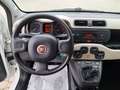 Fiat New Panda 1200 69CV Easy EasyPower GPL ***LEGGERE NOTE*** Білий - thumbnail 5
