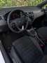 SEAT Ibiza 1.0 TSI FR Panorama CarPlay Camera Bílá - thumbnail 5