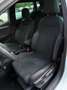 SEAT Ibiza 1.0 TSI FR Panorama CarPlay Camera Wit - thumbnail 5