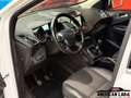 Ford Kuga 2.0 TDCI 150 Blanc - thumbnail 11