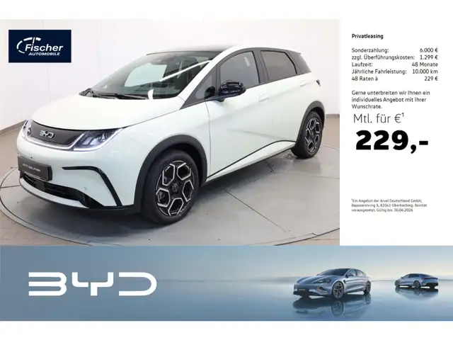 BYD Dolphin Design