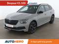 Skoda Kamiq 1.0 TSI Monte Carlo Grijs - thumbnail 1