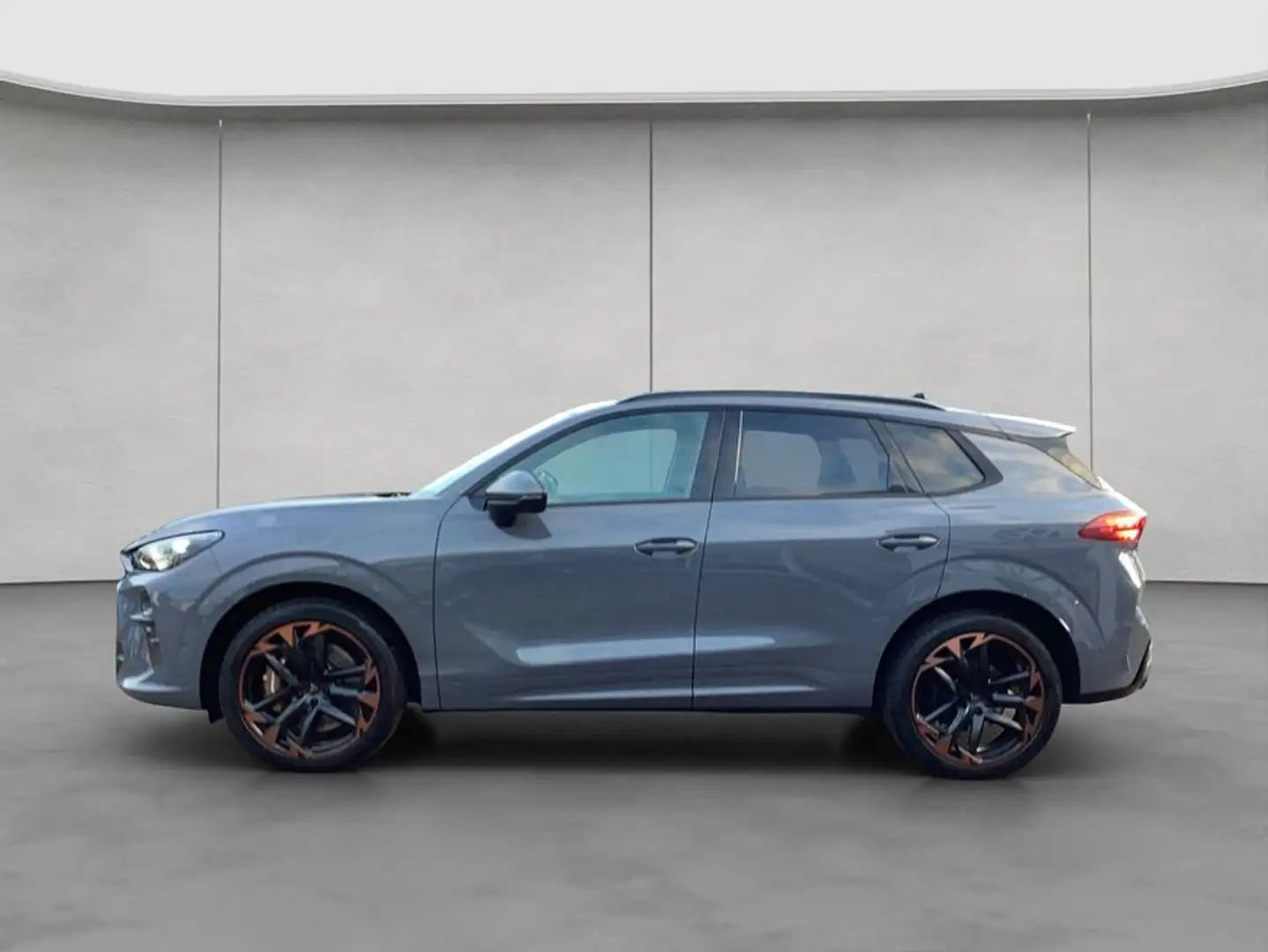 CUPRA Terramar VZ 2.0 TSI 4Drive DSG Matrix,Akebono,Se Grigio - 2