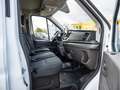 Ford Transit TREND 350L3 ExpressLine beschädigt Blanc - thumbnail 8