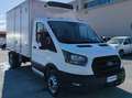 Ford Transit 350 L3 2.0TDCI ISOTERMICO CON GRUPPO FRIGO RG-2020 Bianco - thumbnail 1