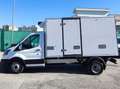 Ford Transit 350 L3 2.0TDCI ISOTERMICO CON GRUPPO FRIGO RG-2020 Bianco - thumbnail 6