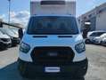 Ford Transit 350 L3 2.0TDCI ISOTERMICO CON GRUPPO FRIGO RG-2020 Bianco - thumbnail 8