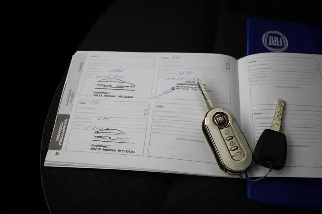 Fiat 500 view 11