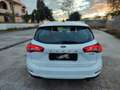 Ford Focus STW HYBRID 1.0 ECO BOOST 125 CV TELECAMERA NAVIG. Bianco - thumbnail 6