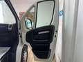 Fiat FIAT Ducato M1 Monovolumen  Manual de 2 Puertas Blanc - thumbnail 17