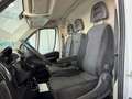 Fiat FIAT Ducato M1 Monovolumen  Manual de 2 Puertas Blanc - thumbnail 18