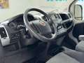 Fiat FIAT Ducato M1 Monovolumen  Manual de 2 Puertas Blanc - thumbnail 10