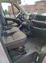Peugeot Boxer Boxer Chasis Cabina 2.0BlueHDI 335 L2 130 Blanco - thumbnail 7