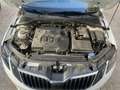 Skoda Octavia Combi 1.6TDI CR Ambition Wit - thumbnail 36