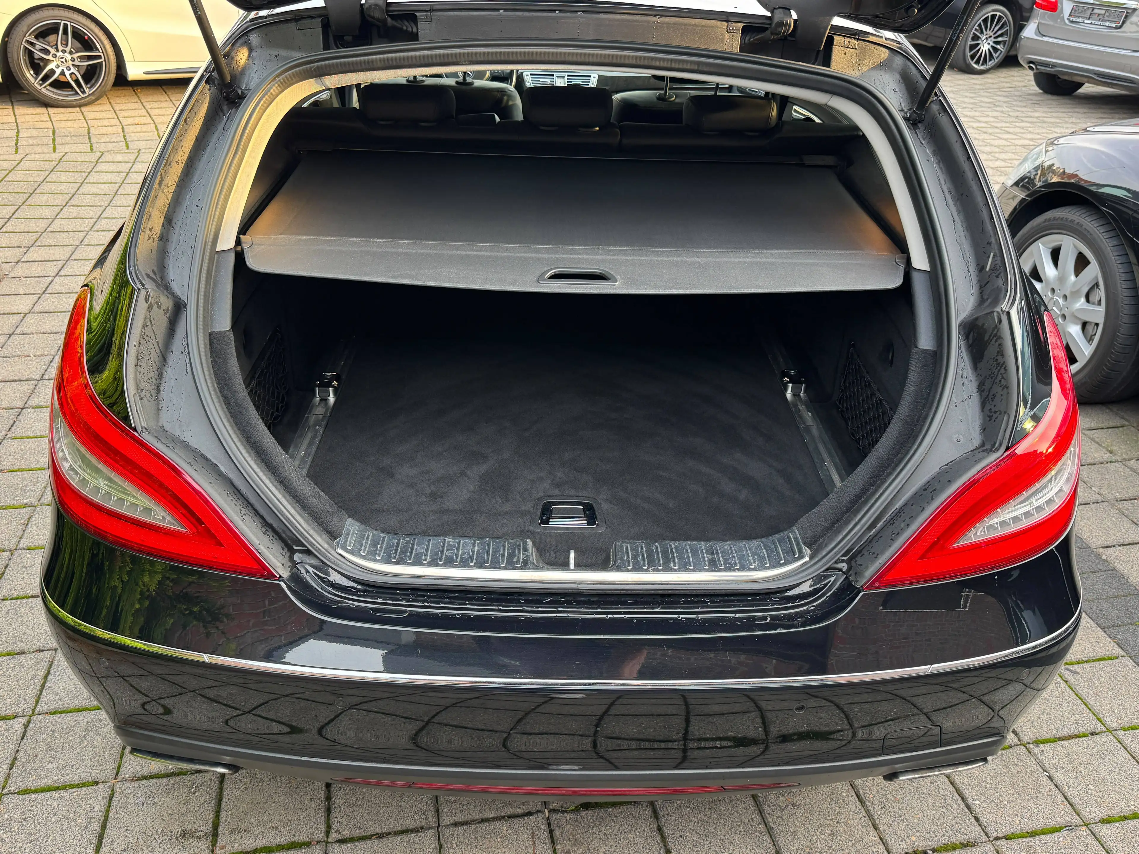 Mercedes-Benz CLS 350 CLS 350 CDI BlueEfficiency (218.923) — photo 14