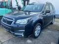 Subaru Forester Active / 1. Hand Grau - thumbnail 3