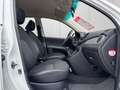 Hyundai i10 FIFA Edition Klima 4x el.FH Allwetter 2.Hand Blanc - thumbnail 8