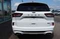 Ford Kuga ST-Line X 2.5 PHEV ACC B&O 4,99%  FIN* AHK Alb - thumbnail 6
