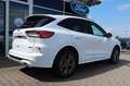 Ford Kuga ST-Line X 2.5 PHEV ACC B&O 4,99%  FIN* AHK Alb - thumbnail 7