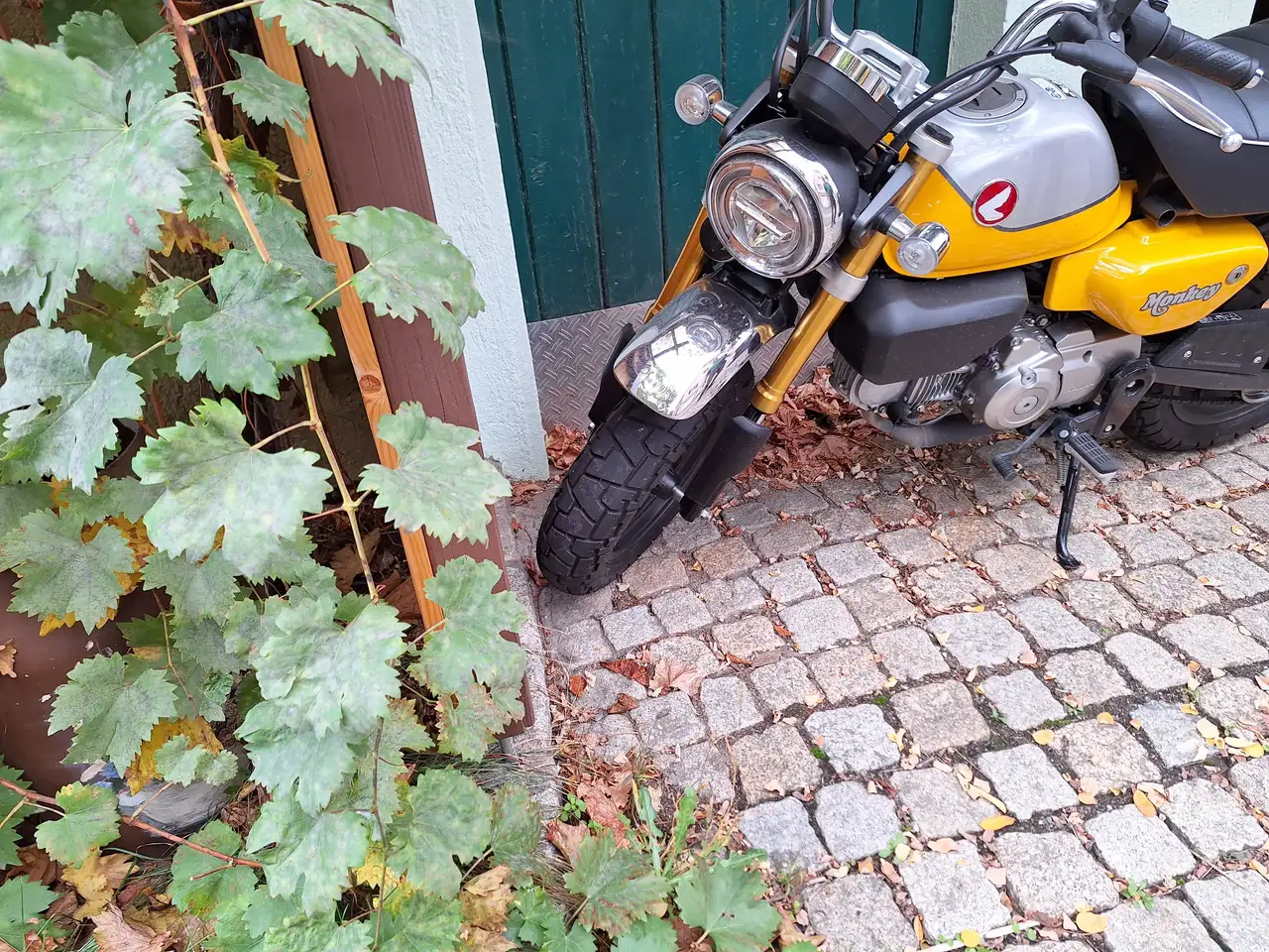 Honda Monkey 125